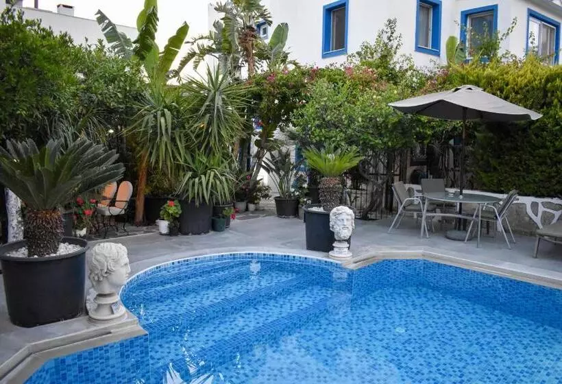 Fotos del hotel Artunc  Bodrum:  23