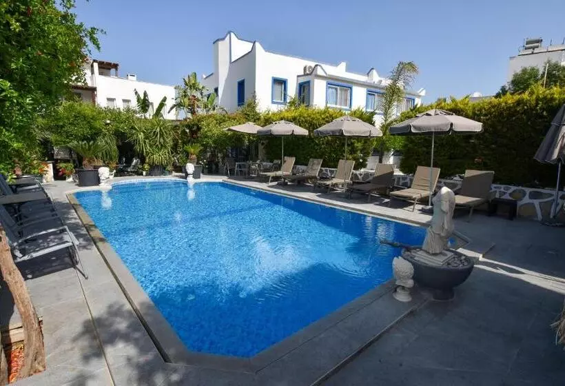 Fotos del hotel Artunc  Bodrum:  12