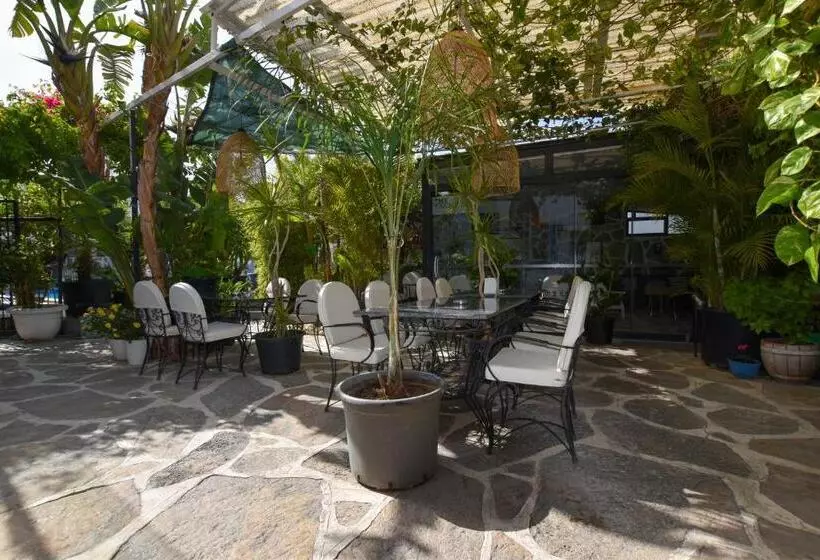 Fotos del hotel Artunc  Bodrum:  7