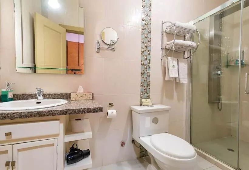 Fotos del hotel Boutique Los Balcones:  18