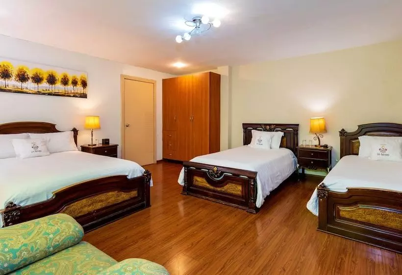 Fotos del hotel Boutique Los Balcones:  21