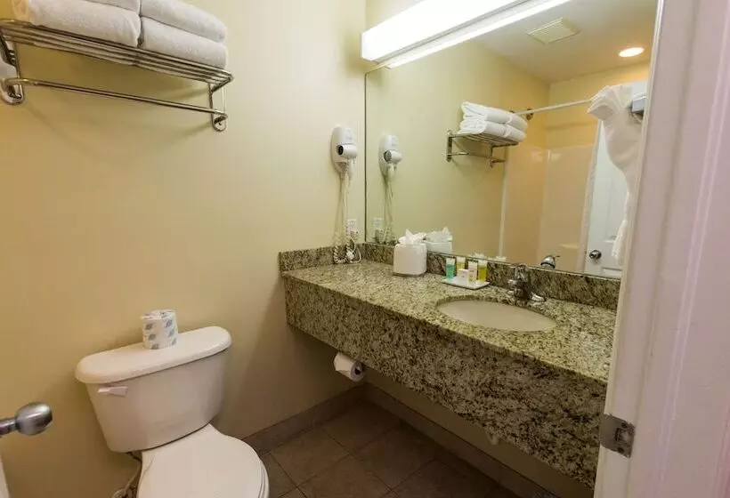 Fotos del hotel Sunshine Suites Resort:  7