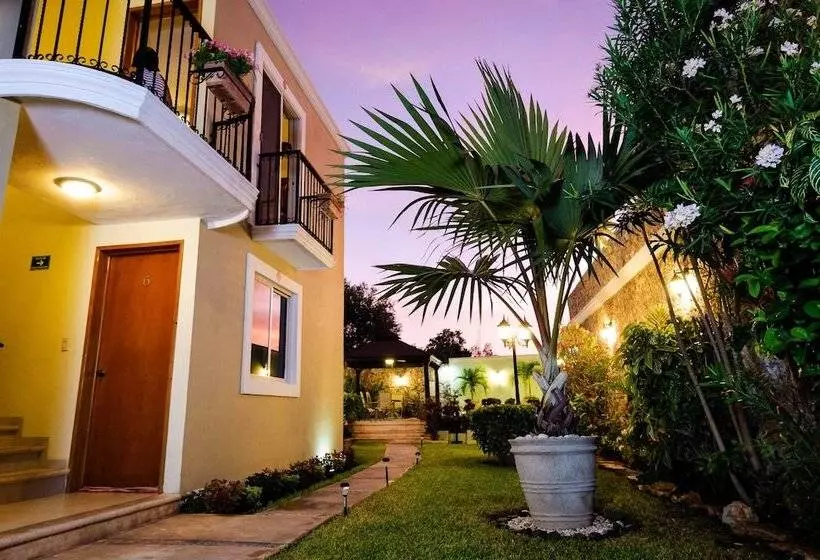 Fotos del hotel Casa Nobel:  13