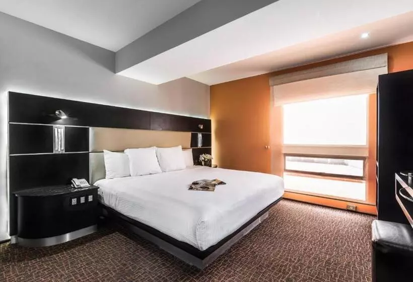 Fotos del hotel Exe Cities Reforma:  22