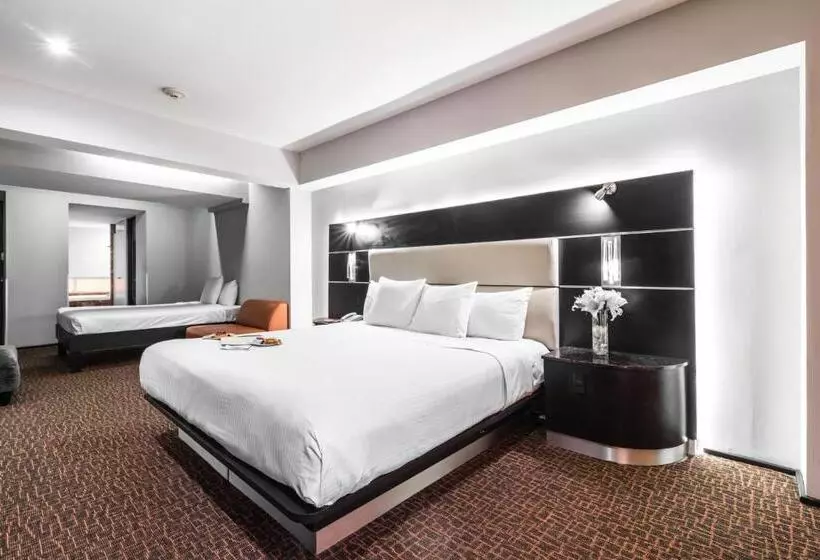 Fotos del hotel Exe Cities Reforma:  16