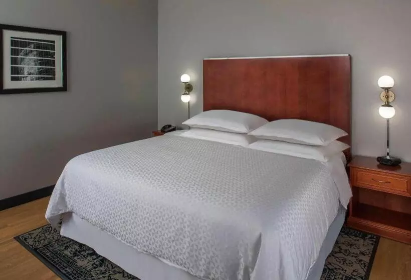 Fotos del hotel Four Points By Sheraton Houston Hobby Airport:  2