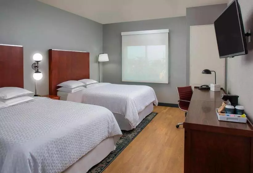 Fotos del hotel Four Points By Sheraton Houston Hobby Airport:  18