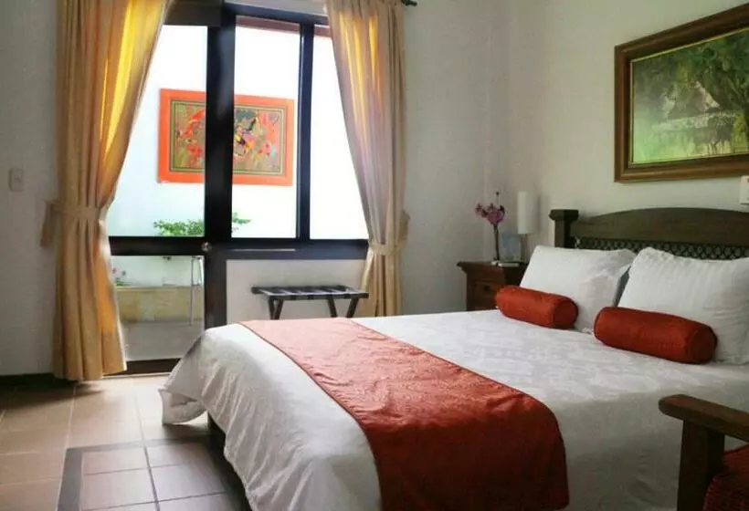 Fotos del hotel Boutique San Antonio:  19