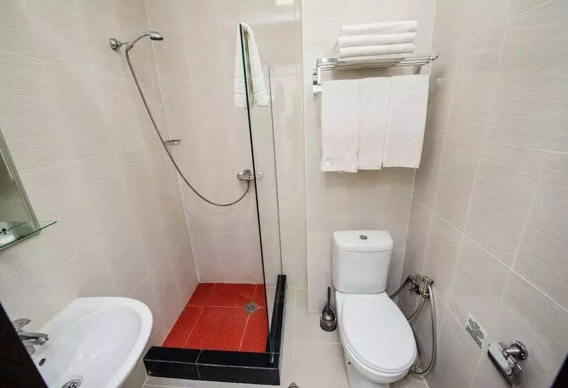 Fotos del hotel Shine Palace:  24