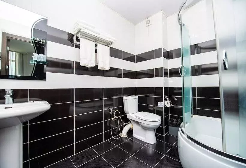 Fotos del hotel Shine Palace:  13