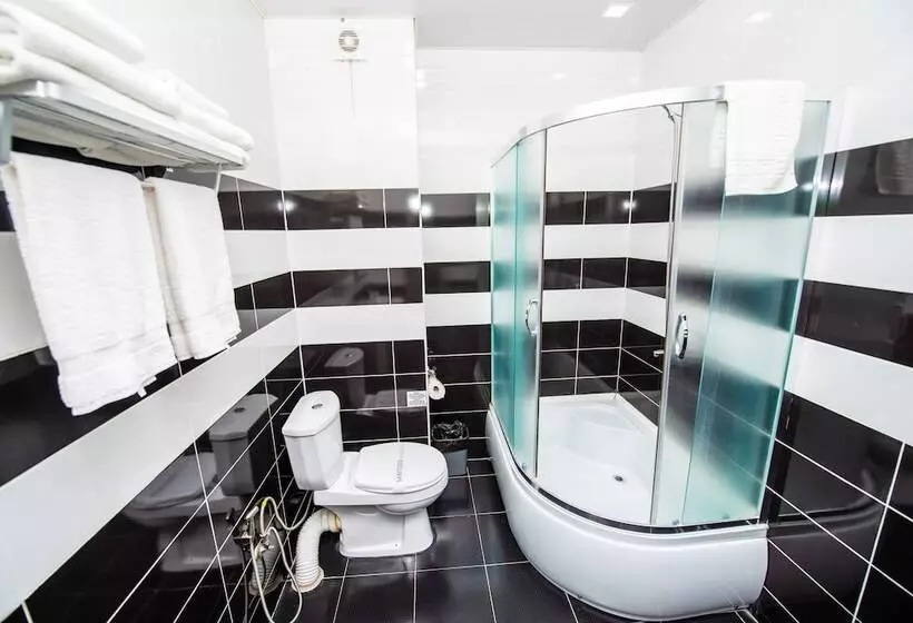 Fotos del hotel Shine Palace:  22