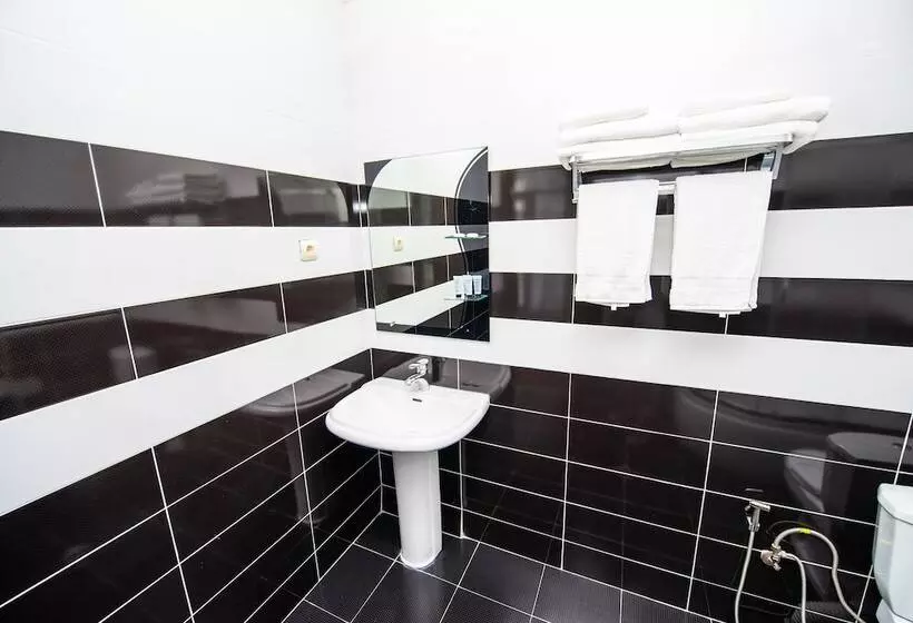 Fotos del hotel Shine Palace:  23