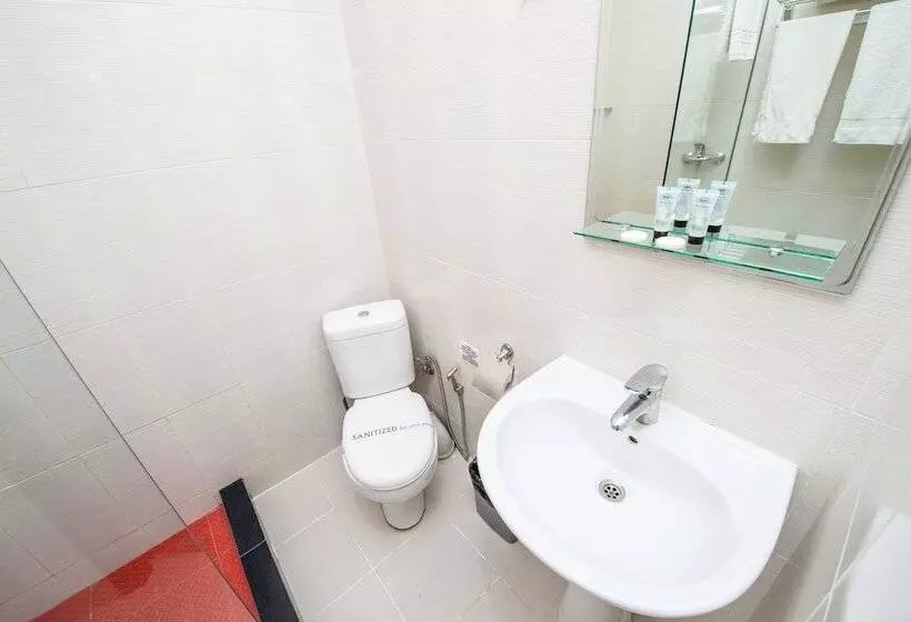 Fotos del hotel Shine Palace:  10