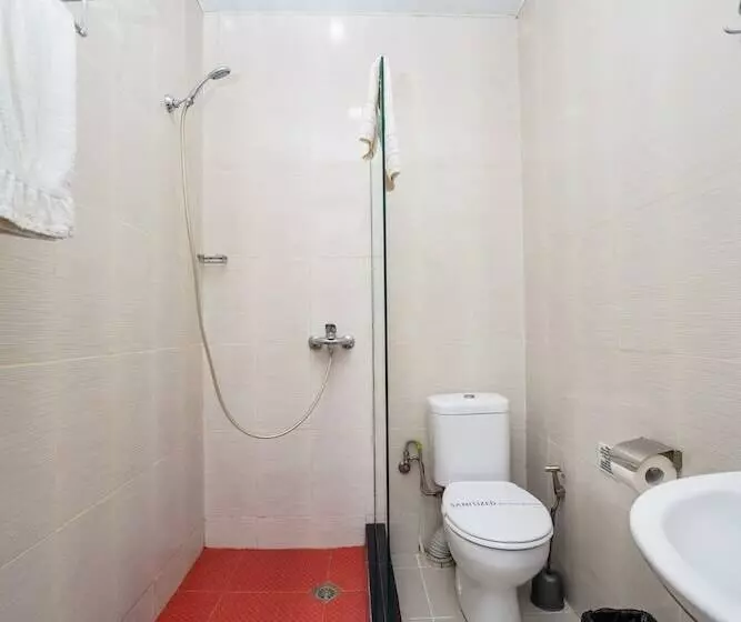 Fotos del hotel Shine Palace:  16