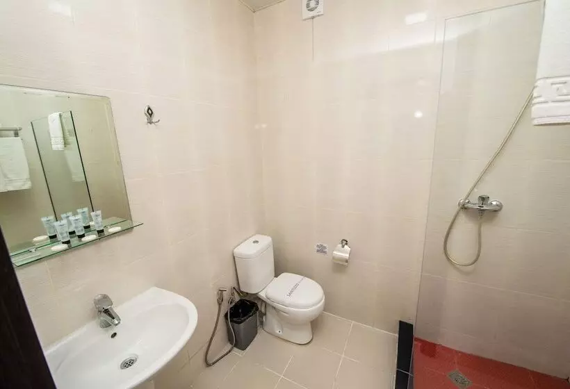 Fotos del hotel Shine Palace:  21