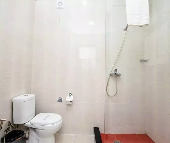 Fotos del hotel Shine Palace:  25