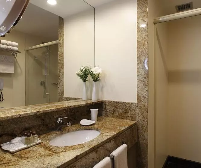 Fotos del hotel Windsor Copa Hotel:  20