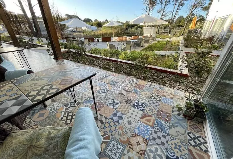 Fotos del hotel La Viuda De José Ignacio:  8