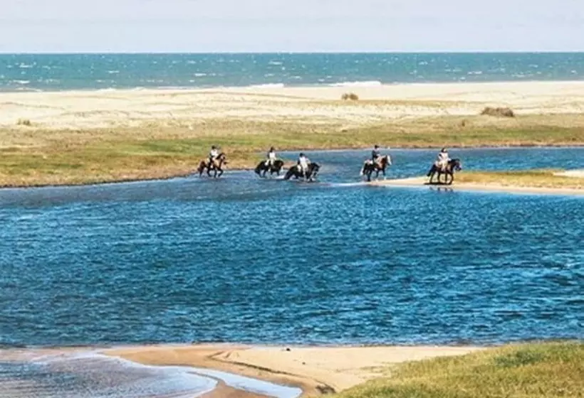 Fotos del hotel La Viuda De José Ignacio:  9