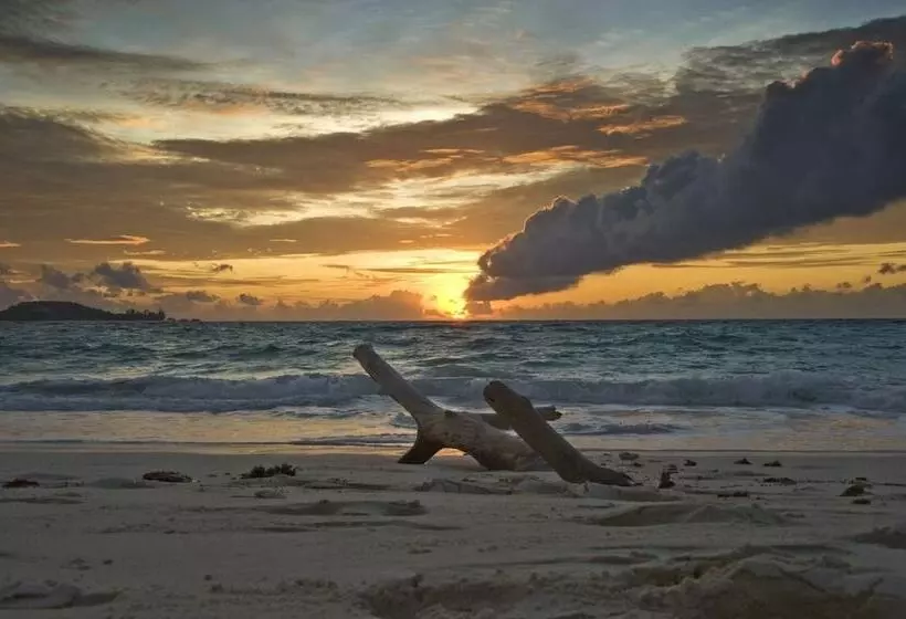 Fotos del hotel Castello Beach:  11