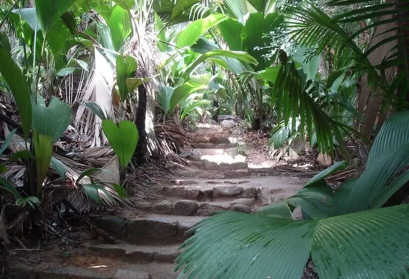 Fotos del hotel Castello Beach:  14