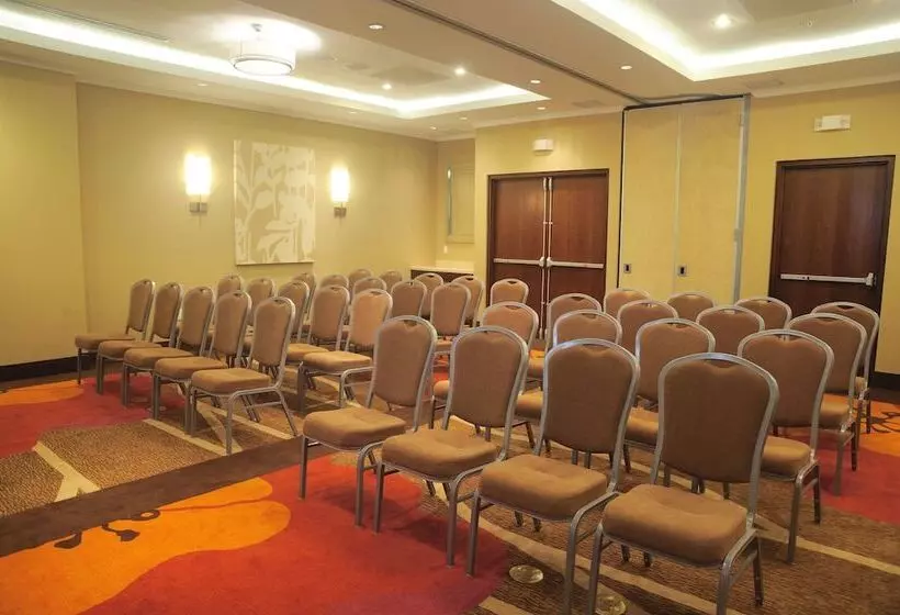 Fotos del hotel Hilton Garden Inn Panama City Downtown:  12