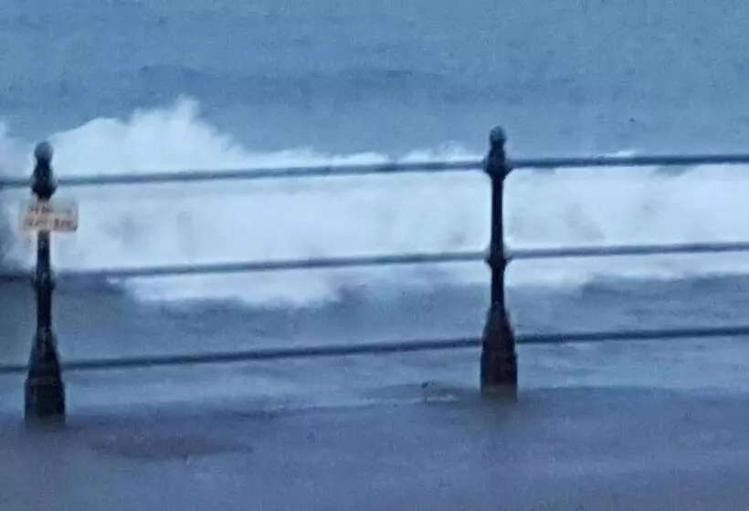 Fotos del hotel Sheridan:  4