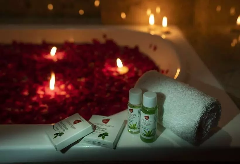 Fotos del hotel Shri Ram Excellency:  10