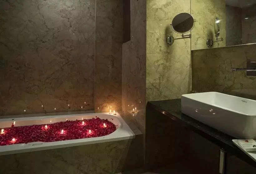 Fotos del hotel Shri Ram Excellency:  3