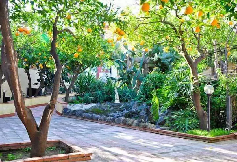 Fotos del hotel Ares:  11