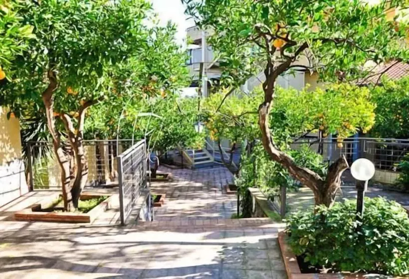 Fotos del hotel Ares:  5