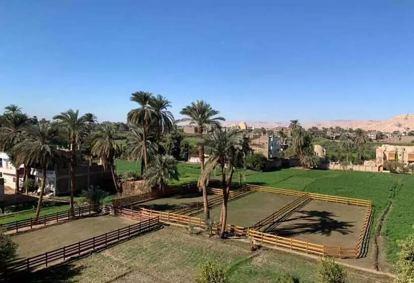 Fotos del hotel Cleopatra Hotel Luxor:  9