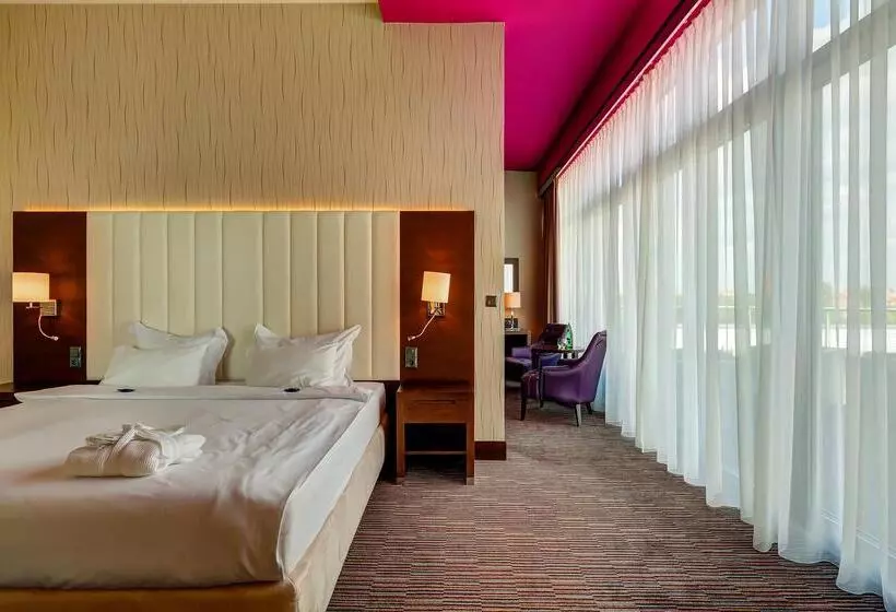 Fotos del hotel Copernicus Toru?:  2