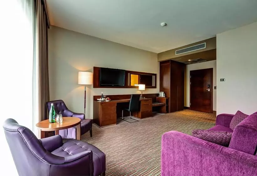 Fotos del hotel Copernicus Toru?:  9