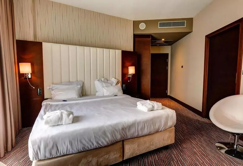 Fotos del hotel Copernicus Toru?:  17