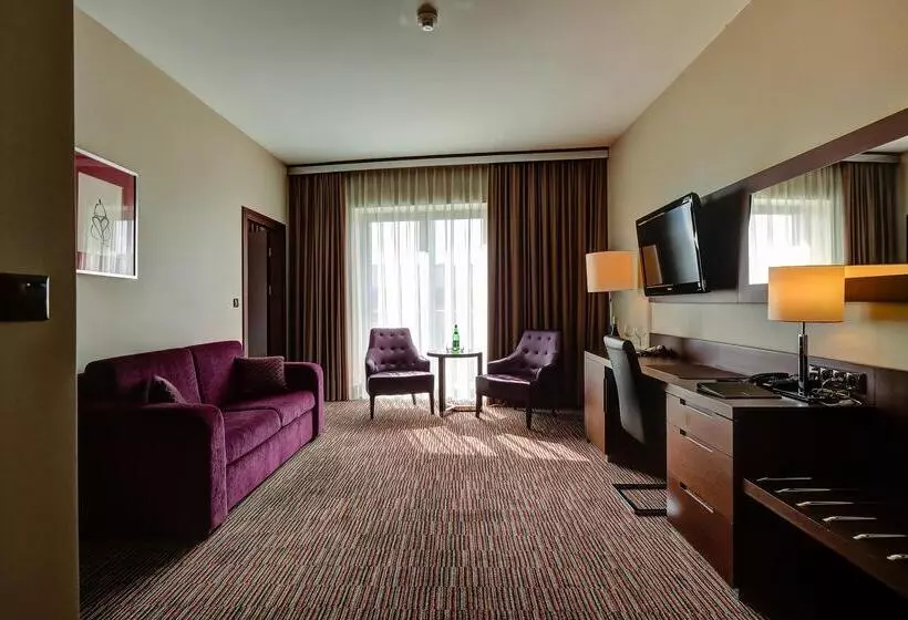 Fotos del hotel Copernicus Toru?:  15