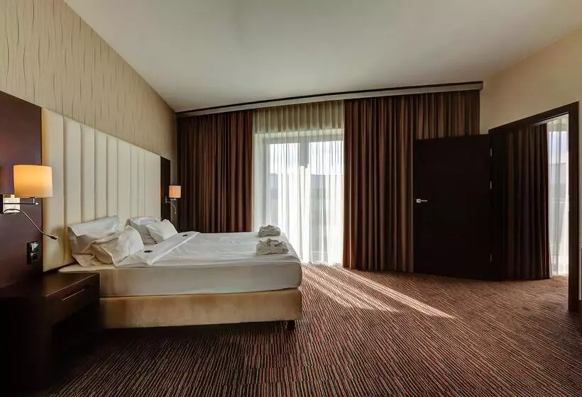 Fotos del hotel Copernicus Toru?:  11