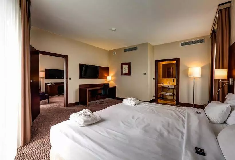 Fotos del hotel Copernicus Toru?:  19