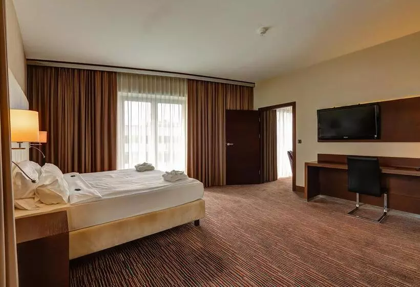 Fotos del hotel Copernicus Toru?:  10