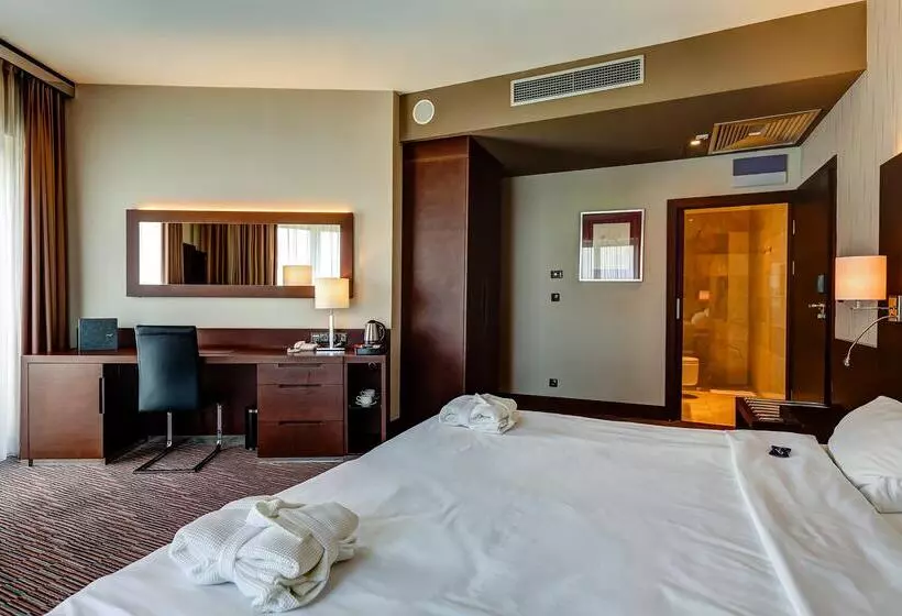 Fotos del hotel Copernicus Toru?:  21