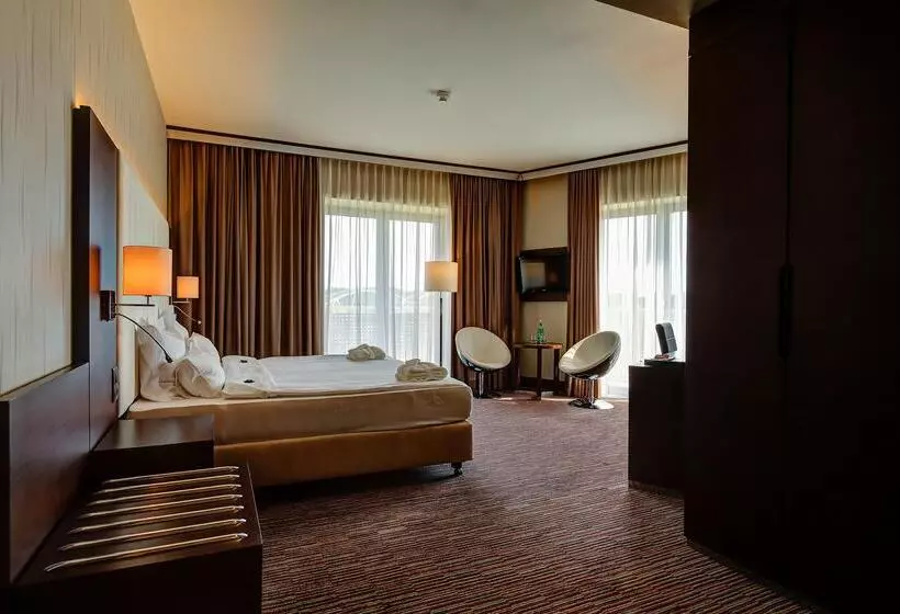 Fotos del hotel Copernicus Toru?:  7