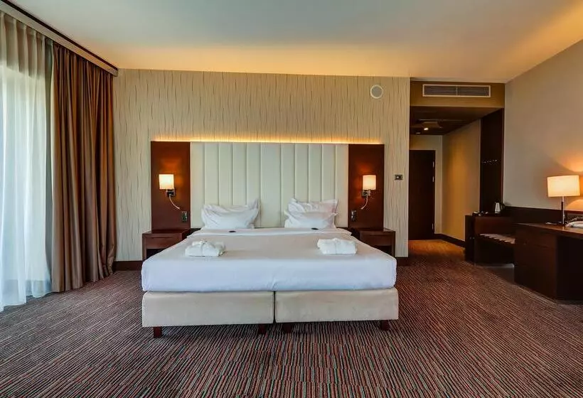 Fotos del hotel Copernicus Toru?:  22