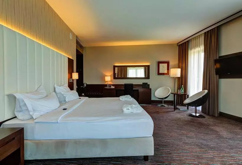 Fotos del hotel Copernicus Toru?:  8