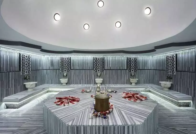 Fotos del hotel Istanbul Gonen:  7