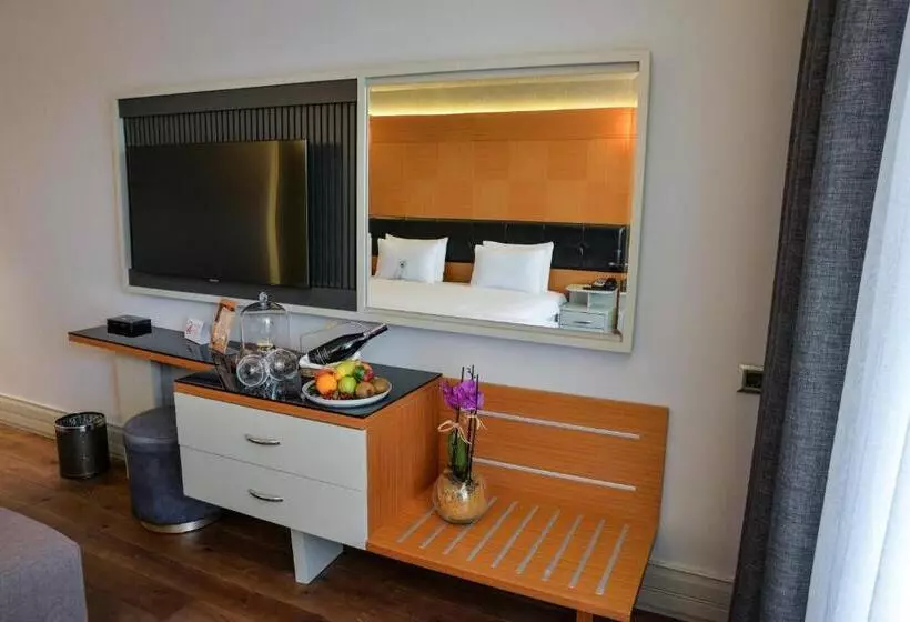 Fotos del hotel Istanbul Gonen:  25