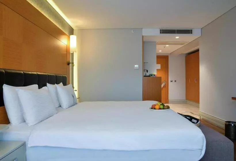Fotos del hotel Istanbul Gonen:  23