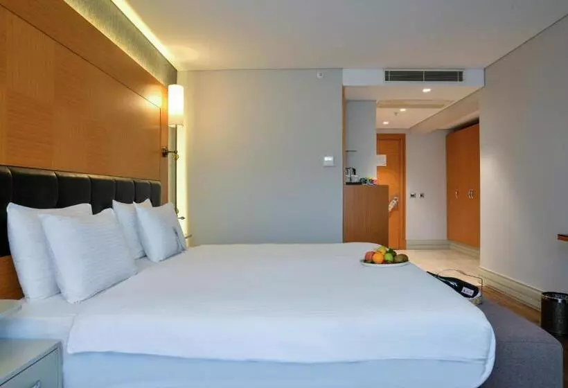 Fotos del hotel Istanbul Gonen:  5