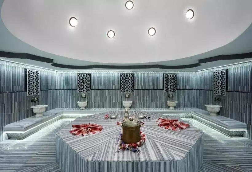 Fotos del hotel Istanbul Gonen:  3