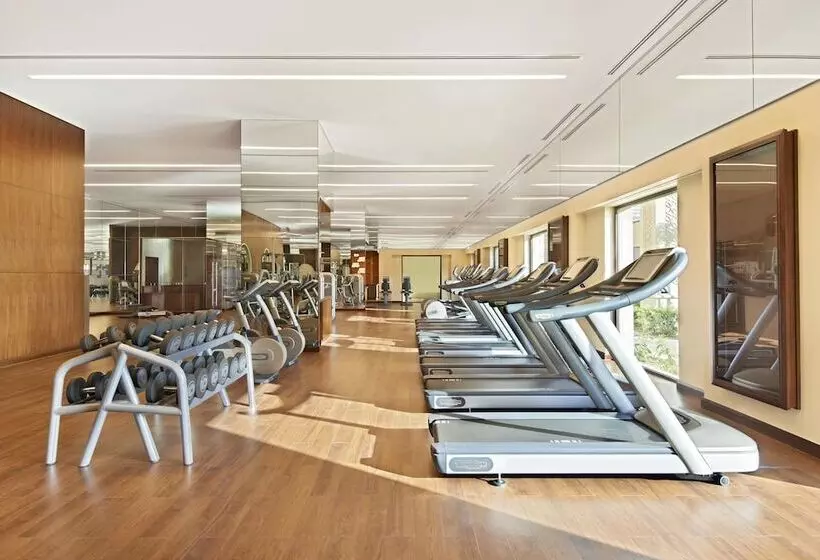Fotos del hotel Fairmont The Palm:  6