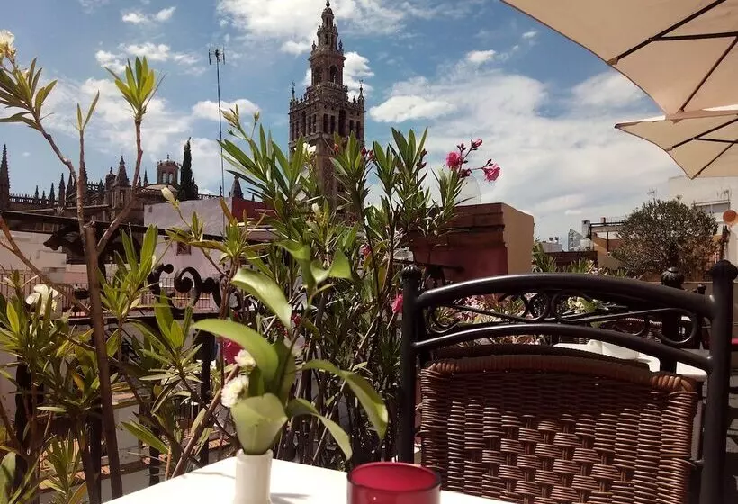 Fotos del hotel Palacio Alcázar:  20